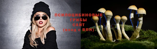 прущий лед Абаза