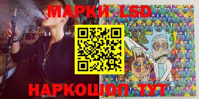 МДПВ Донецк