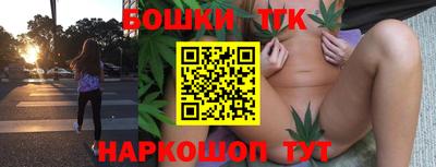 стаф Донской