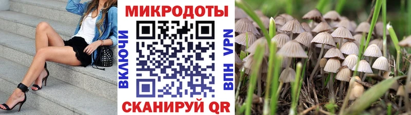 Галлюциногенные грибы GOLDEN TEACHER  Шебекино 