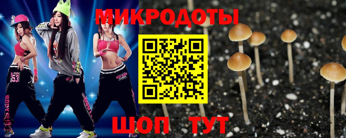 Шебекино  Галлюциногенные грибы мицелий  Вход с VPN  Псилоцибиновые грибы мицелий 