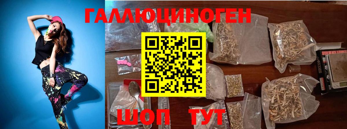 Псилоцибиновые грибы GOLDEN TEACHER Шебекино