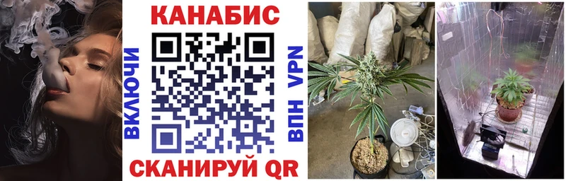 Бошки Шишки семена  сайты даркнета официальный сайт  Шебекино  закладки 